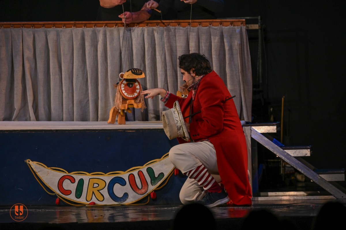 Locomotivioara leneșă