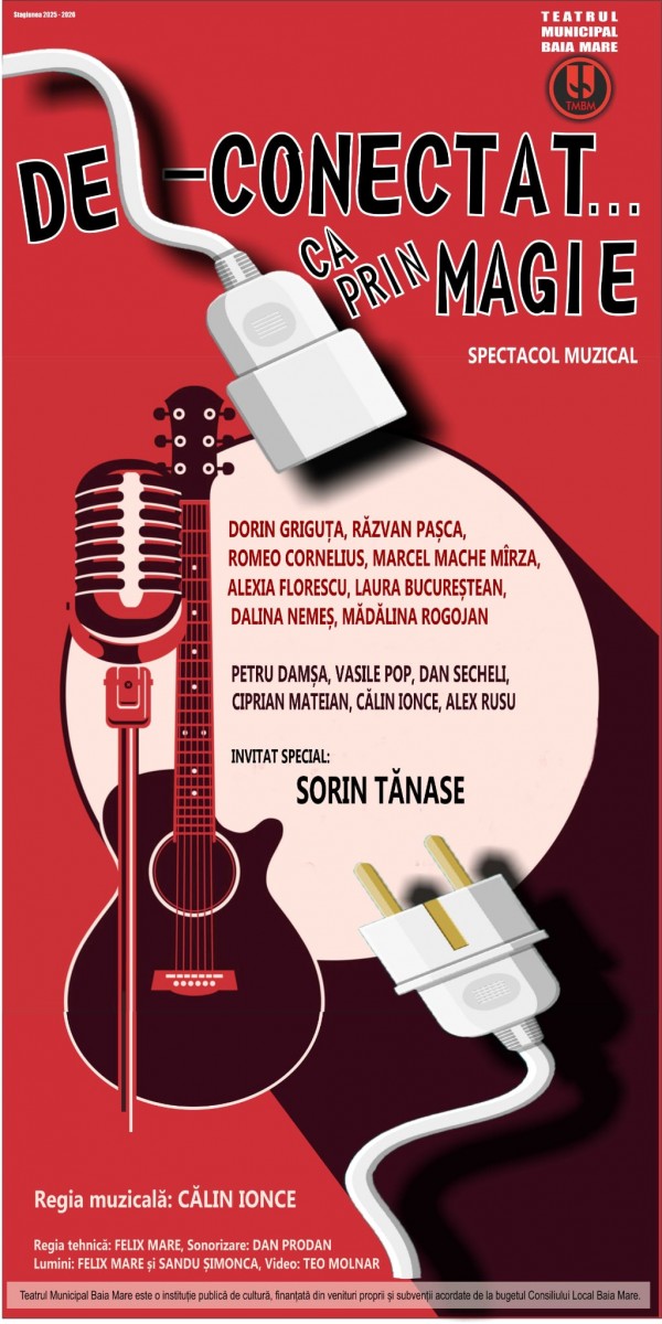 afis DE-CONECTAT…CA PRIN MAGIE