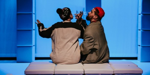 Spectacolul TIGRU a participat la Festivalul Internațional de Teatru Turda