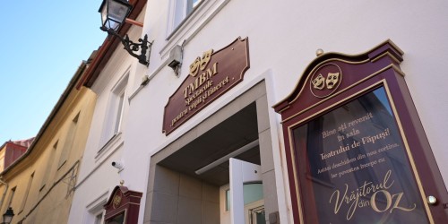 Reabilitarea Teatrului de Păpuși